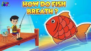 How Do Fish Breath | Draw and Learn | Learning Videos | PunToon Classroom