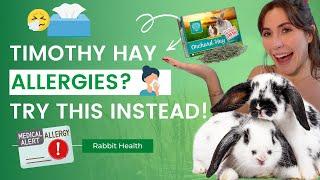 Timothy Hay Allergy? Here's The Hay to Feed Your Rabbit!