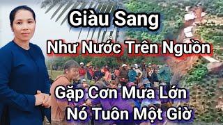 Giàu Sang Như Nước Trên Nguồn, Gặp Cơn Mưa Lớn Nó Tuôn Một Giờ