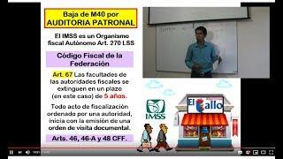 Pérdida de MODALIDAD 40 IMSS por Auditoria Patronal.