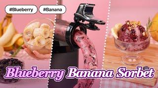 #5 Low Sugar Blueberry Banana Sorbet Recipe I Kuvings Hands-Free Slow Juicer AUTO10