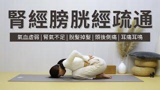 【腎經膀胱經】氣血虛弱 | 脫髮掉髮 | 頭痛 | 腎氣不足 | Meridian Yin Yoga | Kidney & Urinary Bladder Yoga