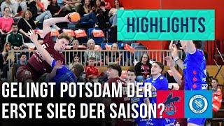 Highlights: 1. VfL Potsdam - TVB Stuttgart | DAIKIN HBL | Dyn Handball