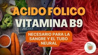 EL ÁCIDO FÓLICO (Vitamina B9): Para qué sirve