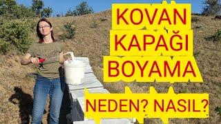 EĞLENCELİ BİR ŞEKİLDE KOVAN KAPAKLARINI BOYADIK #arı #arıcılık #bee #bekeeper #beekeeping #kovan