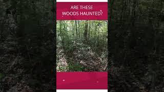 FULL VIDEO ON https://youtu.be/B36zD4gN5BI #haunted #woods #scary