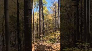 Most breathtaking fall hike near D.C.!