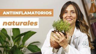 Cómo quitar el dolor con ANTIINFLAMATORIOS NATURALES