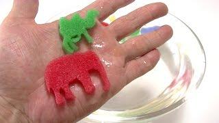 Grow Magic Animal Capsules! Animal Toys カプセル動物