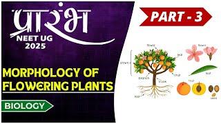 Morphology of Flowering Plants | Part-3 |  DPD Ma'am | NEET UG 2025 | #kota  #biology #acadxl