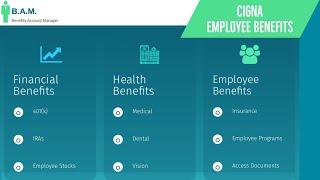 Cigna Employee Benefits | Benefit Overview Summary