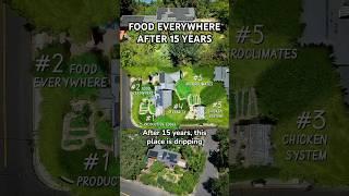 Food Everywhere - After 15 Years