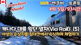 야생의 북부 온타리오에서 캐나다 순상지(Canadian Shield)의 대자연 체험하기 / 캐나다 횡단열차(Via Rail): 캐네디언 트레인 2(밴쿠버에서 토론토까지) (5)