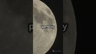  Facts About the Moon! #shorts #facts #moon