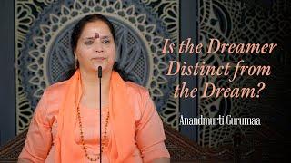 Is the Dreamer Distinct from the Dream? | Anandmurti Gurumaa