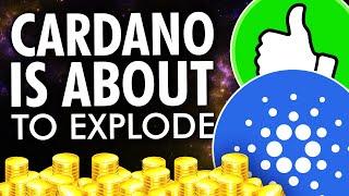 The 5 Reasons Why You Should Invest in Cardano in 2022 (ADA NEWS)