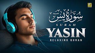 Surah Yasin (Yaseen) سورة يس | Relaxing heart touching Rich voice | Zikrullah TV