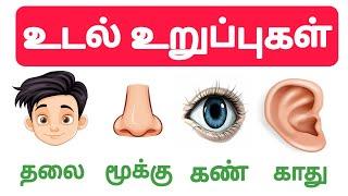 How to learn Parts of the Body in tamil | Kids Learning | உடல் உறுப்புகள் |@KTSKIDSLEARNING