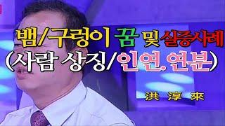 꿈해몽-뱀꿈, 구렁이 꿈. 사람의 상징  연분 꿈해몽 및 실증사례. 한국인의 10대 꿈.