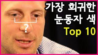 분홍색 눈? 세계에서 가장 희귀한 사람의 눈동자 색 Top 10