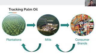 Palm Oil Deforestation Tracker (Civic Data and Technology Clinic A20)