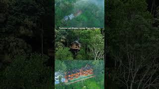 TREEHOUSE AT MUNNAR | RESORTS IN MUNNAR | call : 8139851006 | BOOK VACATIONS TRAVEL COMPANY