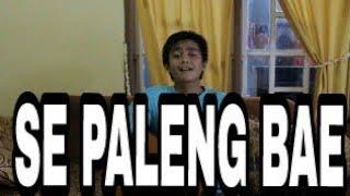 Cover "SE PALENG BAE" - Irwandi Fahruddin