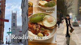 reading week                                                     (I did not read)