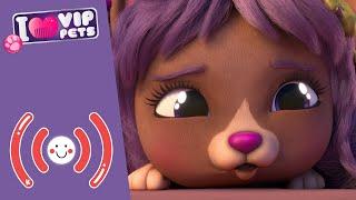  LIVE  VIP PETS  Ganze FOLGEN  CARTOONS und SERIEN für KINDER auf DEUTSCH