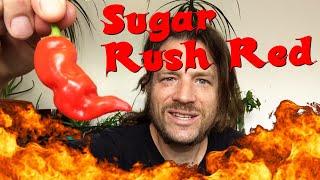 Punkrock Cuisine - Sugar Rush Red