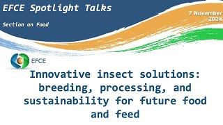 Innovative insect solutions: breeding, processing, and sustainability for future food and feed