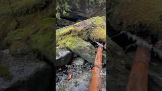 “Morning walk to Gilligan Creek Falls!” Follow for more ️ #washington #pnw #nature #fyp #waterfall