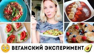 ПИТАЮСЬ КАК ВЕГАН ДВЕ НЕДЕЛИ, ЧЕМ ВСЕ ЗАКОНЧИЛОСЬ? Olya Pins