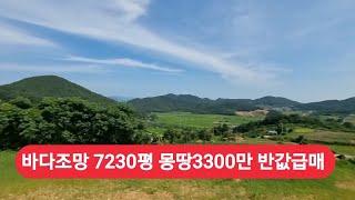 경매직전 바닷가 7200평 밭같은산 몽땅3300만 급매매 가격절충 가능