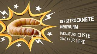 Getrocknete Mehlwürmer - Futter Snack für Hühner, Küken, Hamster, Fische, Wildvögel, Igel, Reptilien