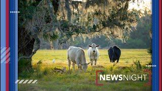 Central Florida voters back protections for rural land | NewsNight