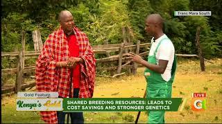 Kenya's Gold | Agriculture and Culture - Gold Feature