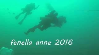 Fenella anne 2016