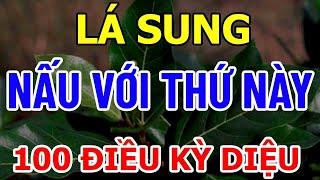 BÁC SĨ MÁCH LOẠI NƯỚC NUÔI THẬN KHỎE KHỦNG KHIẾP, NÊN UỐNG