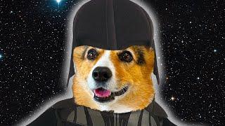 CORGI JOINS THE DARKSIDE | Hammy & Olivia