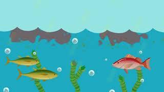 What is eutrophication?