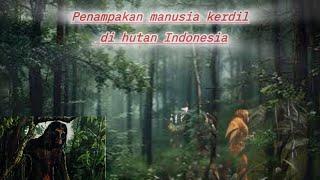 Legenda manusia kerdil di hutan Indonesia