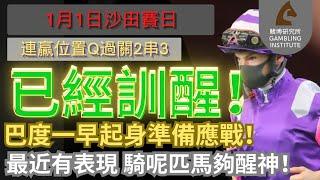 【賽馬貼士】1月1日 連贏位置Q過關2串3｜已經訓醒！｜巴度一早起身準備應戰！最近有表現 騎呢匹馬夠醒神！