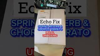 Echo Fix Spring Reverb EF-P2 & Chorus Vibrato EF-P3 pedals - Unboxing #unboxing