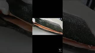 신선한 연어 회 뜨기. Fresh salmon Fillets. https://www.youtube.com/watch?v=dGvTjZtA1IQ