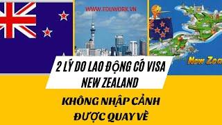 CÓ VISA LAO ĐỘNG NEW ZEALAND KO NHẬP CẢNH ĐƯỢC - 2 LÝ DO LAO ĐỘNG PHẢI QUAY VỀ CẢ NHÀ THAM KHẢO