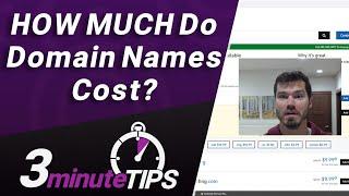 Domain Names Cost OVERVIEW - Price Range, Expensive Domains, and Renewal Prices