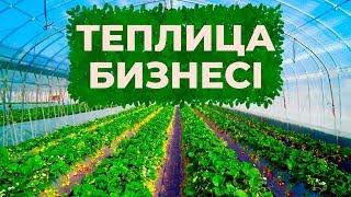 Жылыжай бизнесі | Теплица бизнесімен айналысқан тиімдіме? | Бизнес талқы