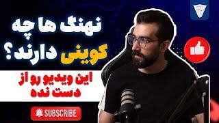 چجوری پشت نهنگ ها و ولت نهنگ ها خرید کنیم؟ سایت debank