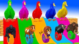 5 Giant Duck Cartoon, Cow, Elephant, Lion, Gorilla, Ferdinand Transfiguration Funny Animals 2024